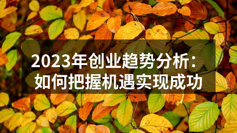 2023年创业趋势分析：如何把握机遇实现成功