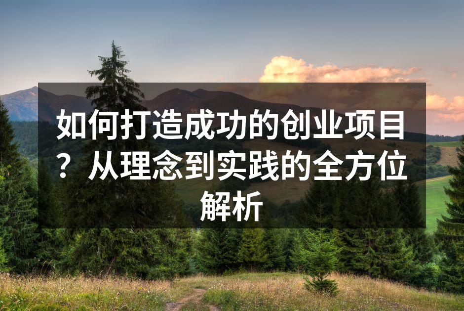 如何打造成功的创业项目？从理念到实践的全方位解析